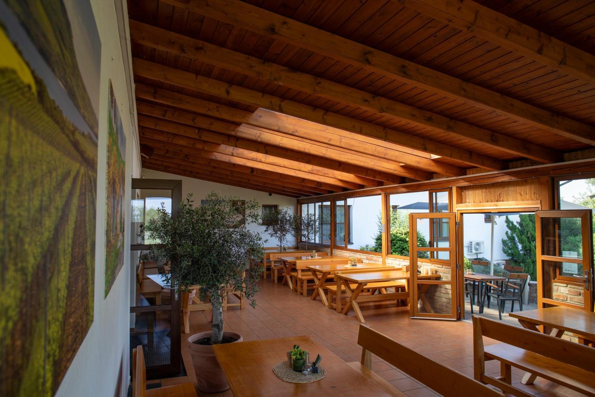 Amenity Penzion Horni Vestonice Extérieur photo