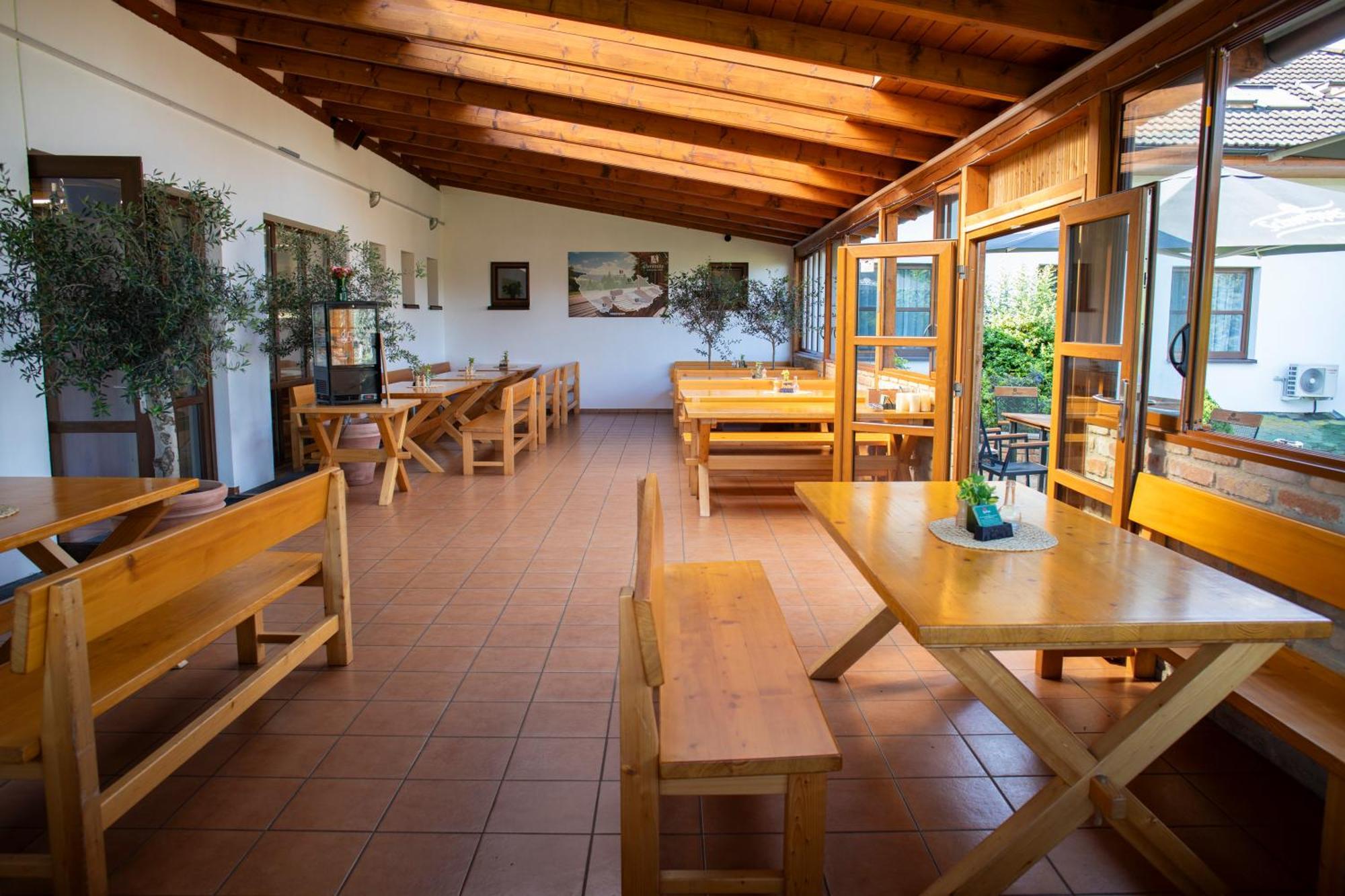 Amenity Penzion Horni Vestonice Extérieur photo
