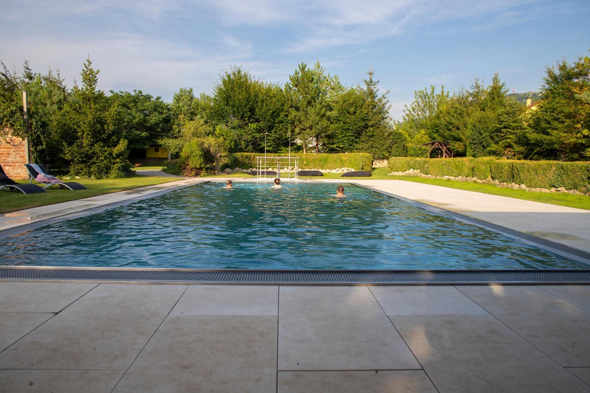 Amenity Penzion Horni Vestonice Extérieur photo