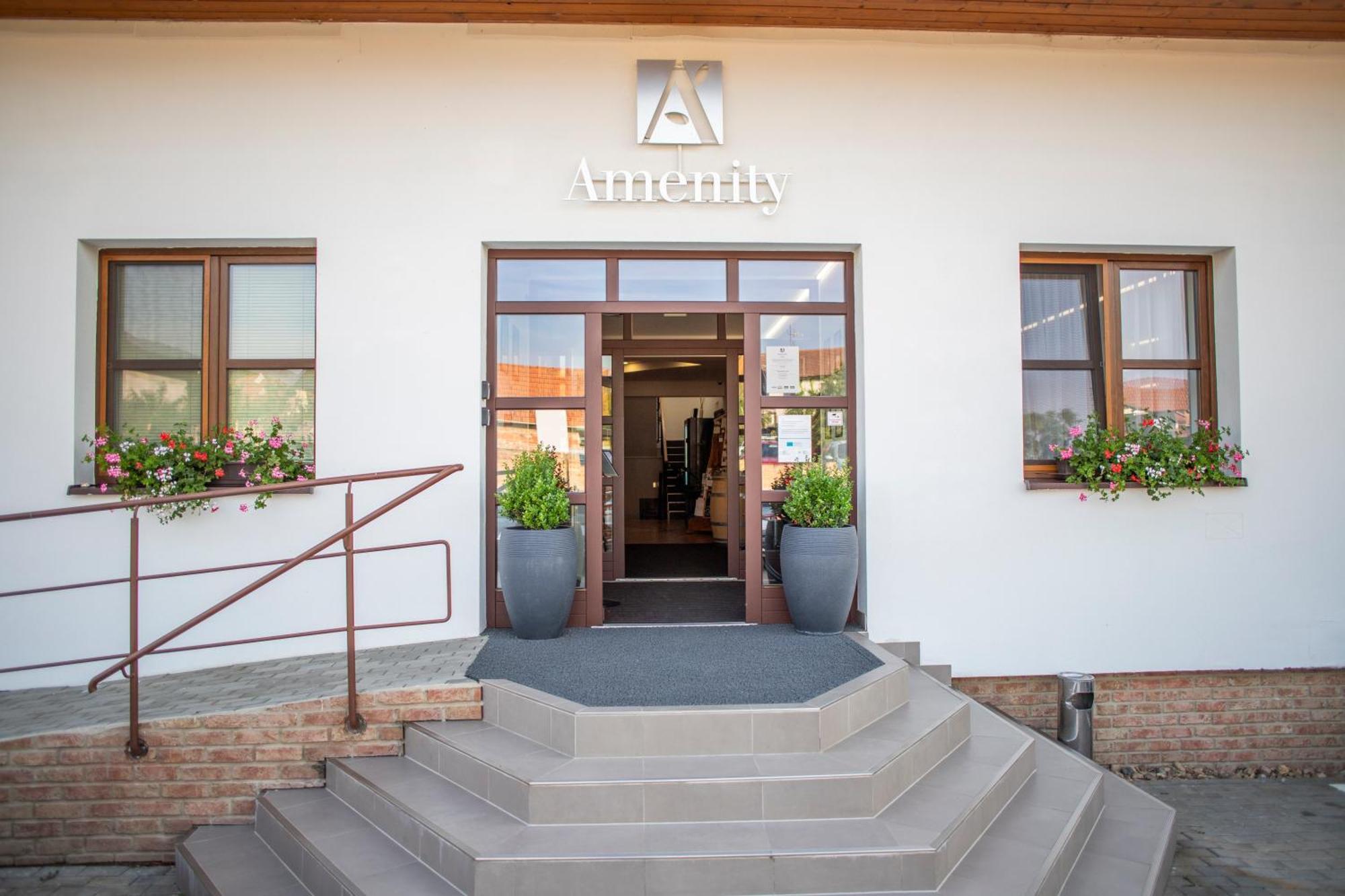 Amenity Penzion Horni Vestonice Extérieur photo